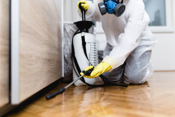 Best Affordable Pest Control Services  in Sicklerville, NJ