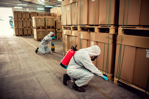 Best Local Pest Control Services  in Sicklerville, NJ