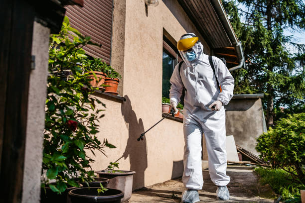 Best Wasp Removal Services  in Sicklerville, NJ