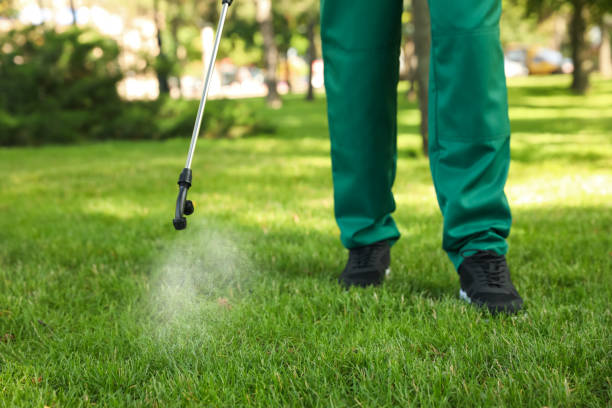 Best Flea Control Services  in Sicklerville, NJ