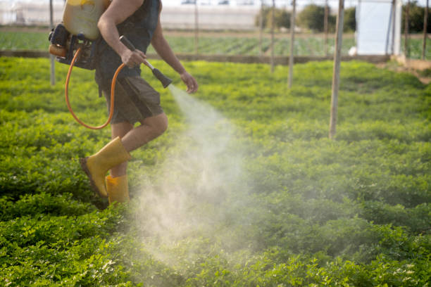 Pest Prevention Services in Sicklerville, NJ
