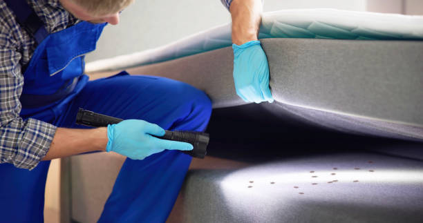 Best Pest Removal Services  in Sicklerville, NJ